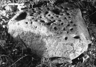 Views of cup-marked stone. One with scale.
