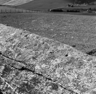 Cup-marks on the E side of the summit of the recumbent stone