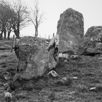 The kerbstones on the SE of the expanded cairn viewed from the interior