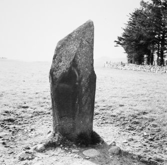 The SE side of the standing stone looking NW, with the cup-mark just E of the centre at the N edge of the E facet