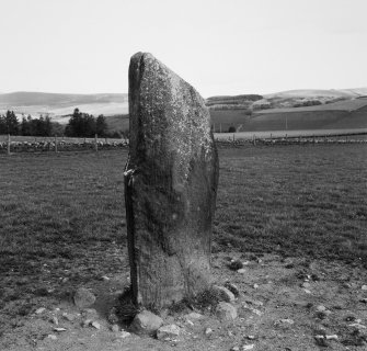 The NW side of the cup-marked standing stone