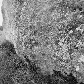 Cup and ring-markings on the inner face at the WNW end of the recumbent stone