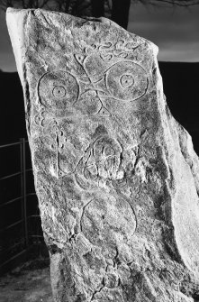 Myreton Farm, Picardy Stone. Detail of upper part of stone showing carvings, dated 16 April 1996.