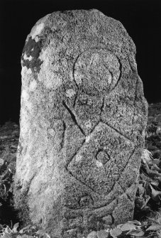 Flash-lit photograph of stone, now at Kinellar House, showing mirror-case, 'shield and spear' and double-crescent symbols.