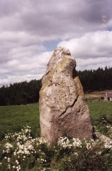 View from SSW of the ENE stone