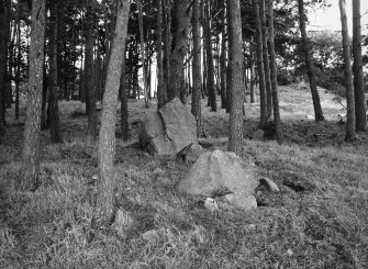 Hill of Tuach (Hill of Tuack), stone circle and ring-ditch: detail of central setting from SSW.
