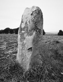 The South-West stone viewed from South-East.