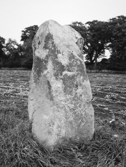 The South-West stone viewed from South-West.