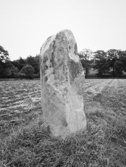 The South-West stone viewed from South.