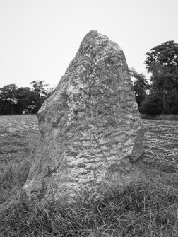 The North-East stone viewed from South.