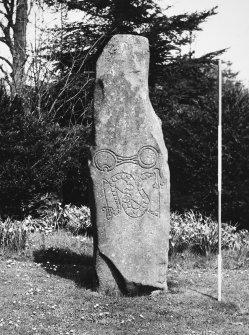 Pictish symbol stone
