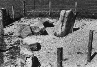 View of of the Brandsbutt symbol stone, Inverurie.