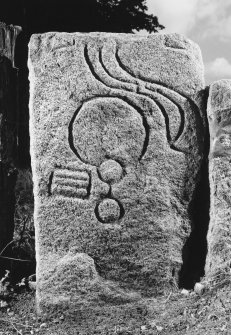 Drummies, Pictish symbol stone. View from N (using flash), dated 12 Sept. 1995.