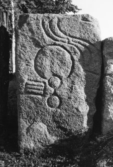 Drummies, Pictish symbol stone. View from N, dated 12 Sept. 1995.