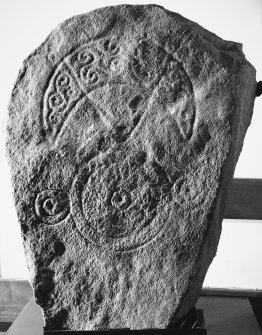 General view of Pictish stone bearing a crescent and V-rod above a triple-disc symbol.