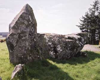 The E flanker and the recumbent stone from the NE