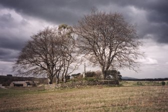 View of cairn from ENE