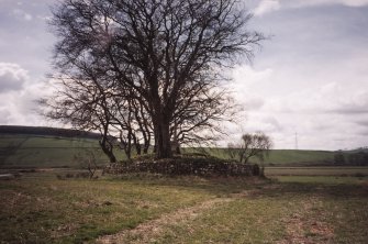 View of cairn from N