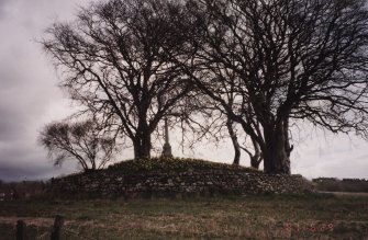 View of cairn from SSW