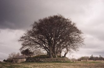 View of cairn from S