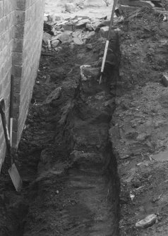 Excavation photograph : looking north along section.