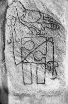 General view of Pictish stone bearing an eagle above a notched rectangle and Z-rod.