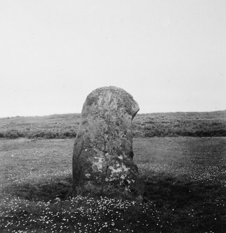 Ardalanish standing stone.