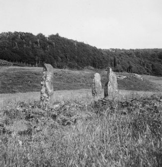 Standing stones, west of Glengorm Castle.