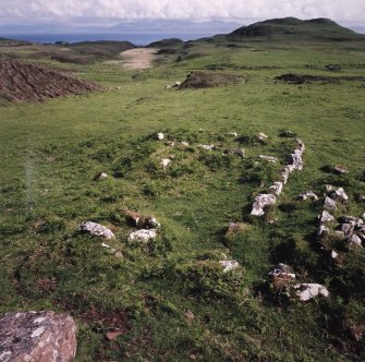 Muck, Blar na Fionn-aird. Farmstead and pen. Detail of building (NM 41335 79279). View from N.