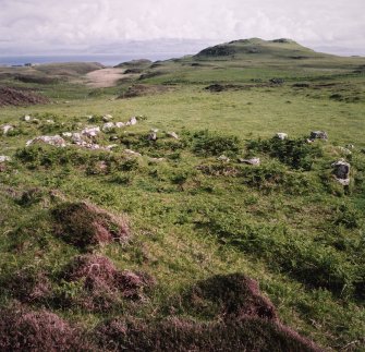 Muck, Blar na Fionn-aird. Farmstead and pen. View from N.