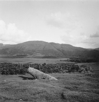 Standing stone, Killichronan.