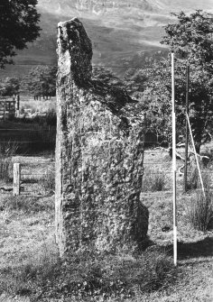 View of standing stone from SE, Lochbuie, Mull.