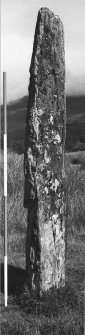 RCAHMS
