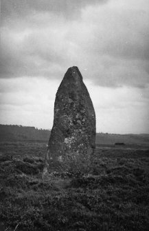 Dunrachan (A) 1, standing stone.