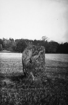 The Dane's Stone from the south.