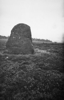 Fowlis Wester stone circles, cairn and standing stones.