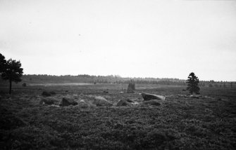 General view of standing stone and stone settings on moor above Foulis Wester.