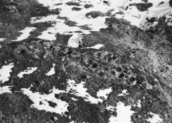 Detail of cup-marked stone in snow.