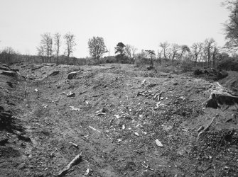 View of defences at E end of fort from NE