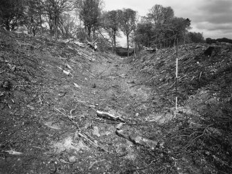 View of defences at E end of fort from S