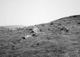 View of Cheveaux de frise at N end of fort from W