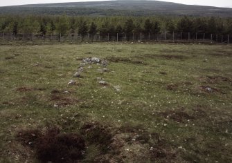 View of sheep-dip from E.