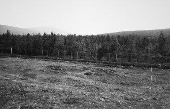 View of hut from N.