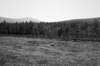 View of hut from N.