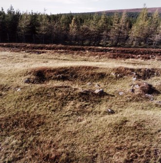 View of hut