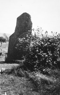 View of standing stone from WNW