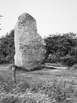 View of standing stone from W.