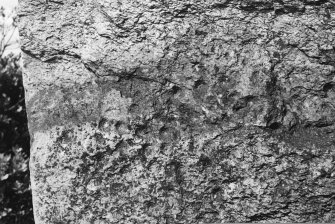 Detail of cupmarks.