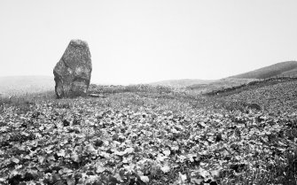 Knowhead Standing Stones.