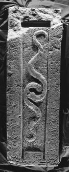 Strathmartine no 2 recumbent graveslab. View showing two serpents and spiral border decoration